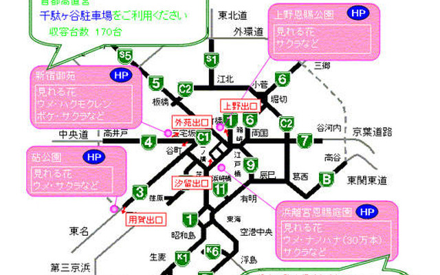 首都高を利用して花見にいきませんか?