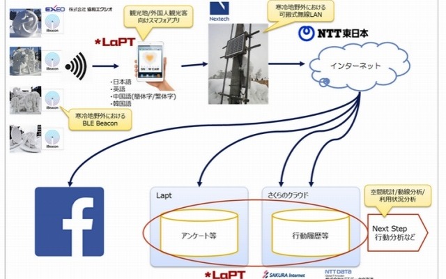 実験の概要
