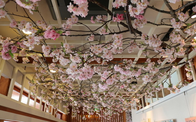 桜で装飾されたスターバックスコーヒー「上野恩賜公園店」店内（天井）
