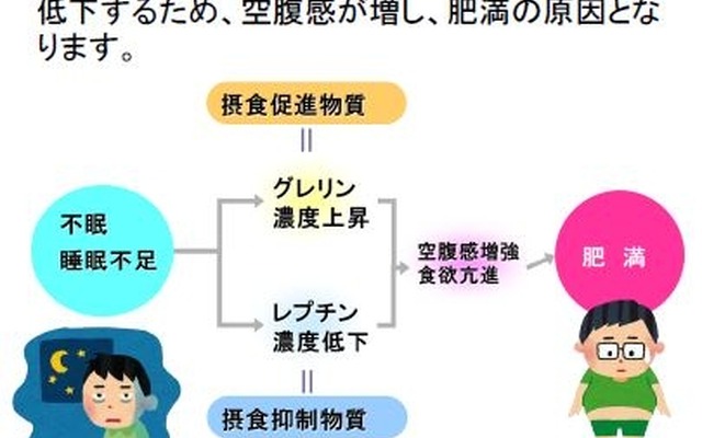 不眠が肥満を引き起こす！