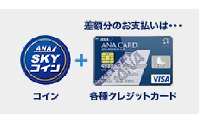 スカイコイン使用例