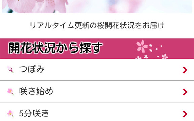 お花見特集2015