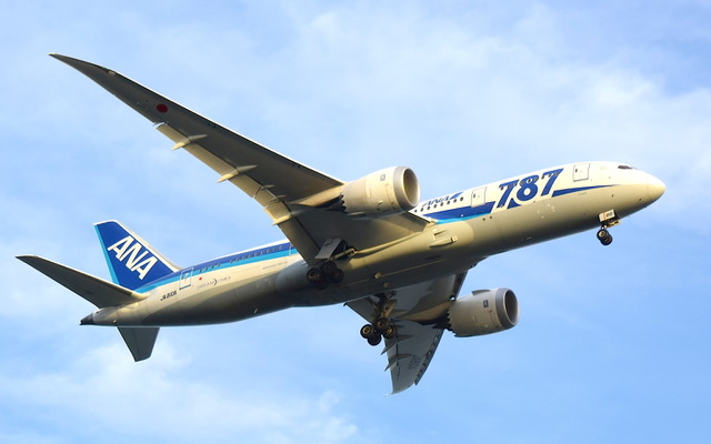 全日本空輸（イメージ）