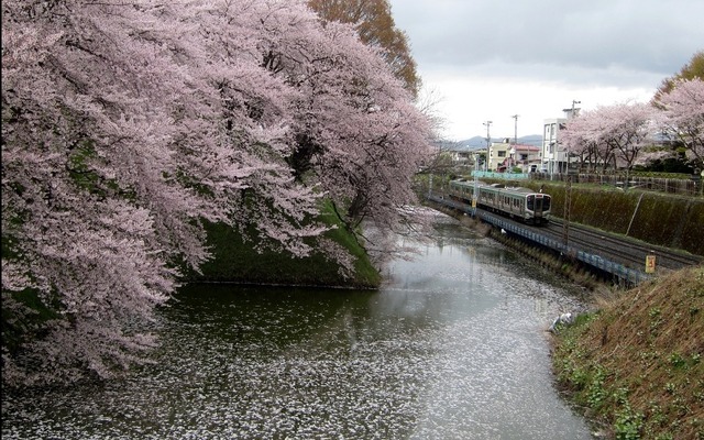 山形～北山形間の霞城公園沿いを行く列車。4月11日から徐行運転を行う。