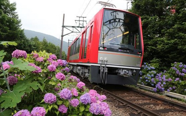 今年の『夜のあじさい号』は6月20日から7月5日まで運行。今年は写真の「アレグラ号」も使用される。