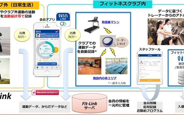 OASIS LINK