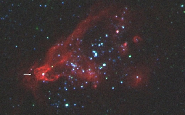 ハッブル宇宙望遠鏡で撮像した、矮小銀河ホルムベルク II にある超高光度X線源 X-1（矢印） の周辺の多色合成画像