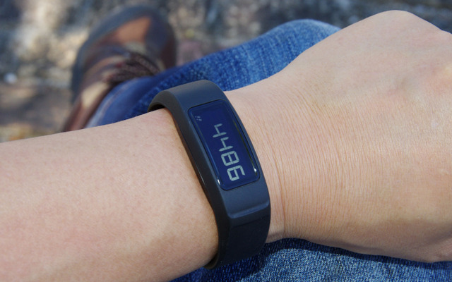 GARMIN vivofit2