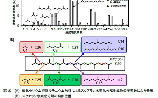 藻類産生オイルの輸送用燃料への新変換法の開発