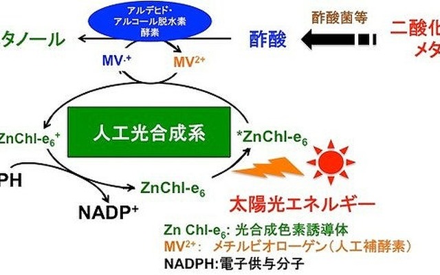 二酸化炭素を出発物質としたエタノール生産のための人工光合成技術