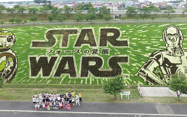 『スター・ウォーズ／フォースの覚醒』田んぼアート見ごろ宣言式