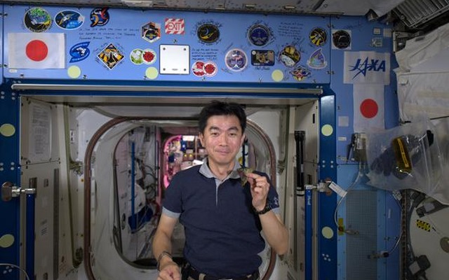 レタスを手に持つ油井宇宙飛行士