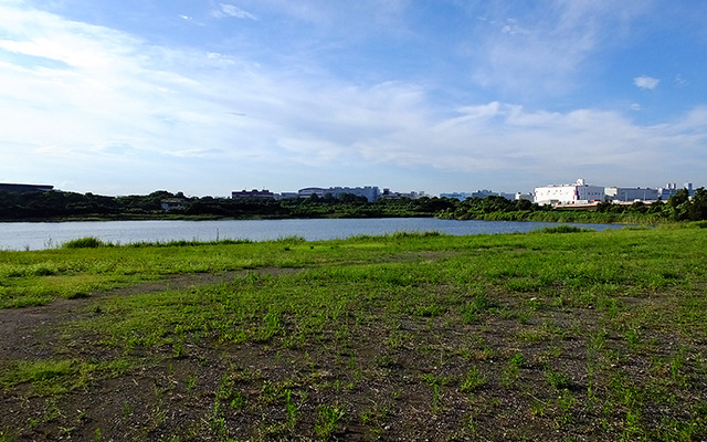 城南島から東京港野鳥公園を眺める。羽田アクセス新線はこの付近の地下に設置される計画だ
