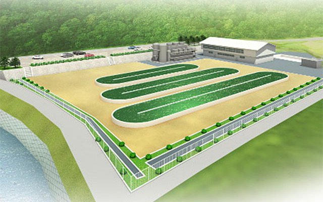 デンソーが天草市に建設するバイオ燃料の大規模実証設備イメージ