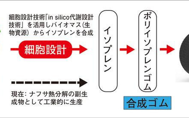 バイオマスを原料とした合成ゴム（ポリイソプレンゴム）生成のイメージ
