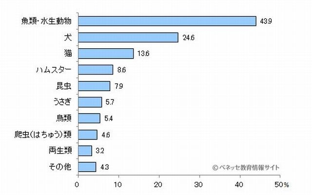 飼っているペット