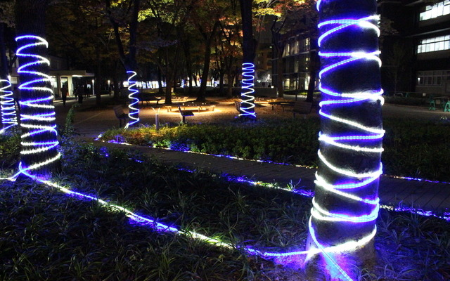 大阪市立大学