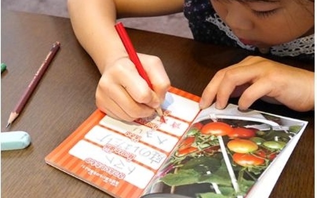 「身近な色を集めよう」作成イメージ