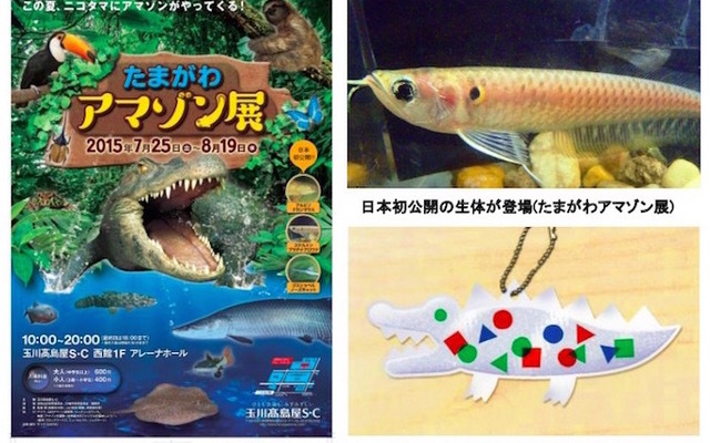 たまがわアマゾン展