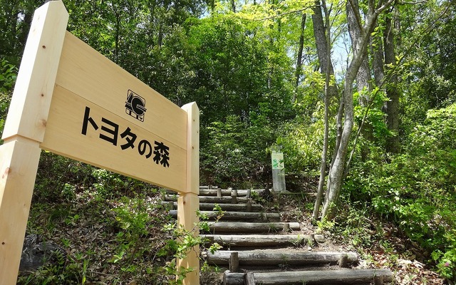 トヨタの森