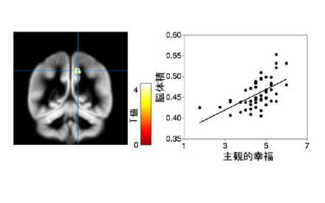 脳体積と主観的幸福の散布図