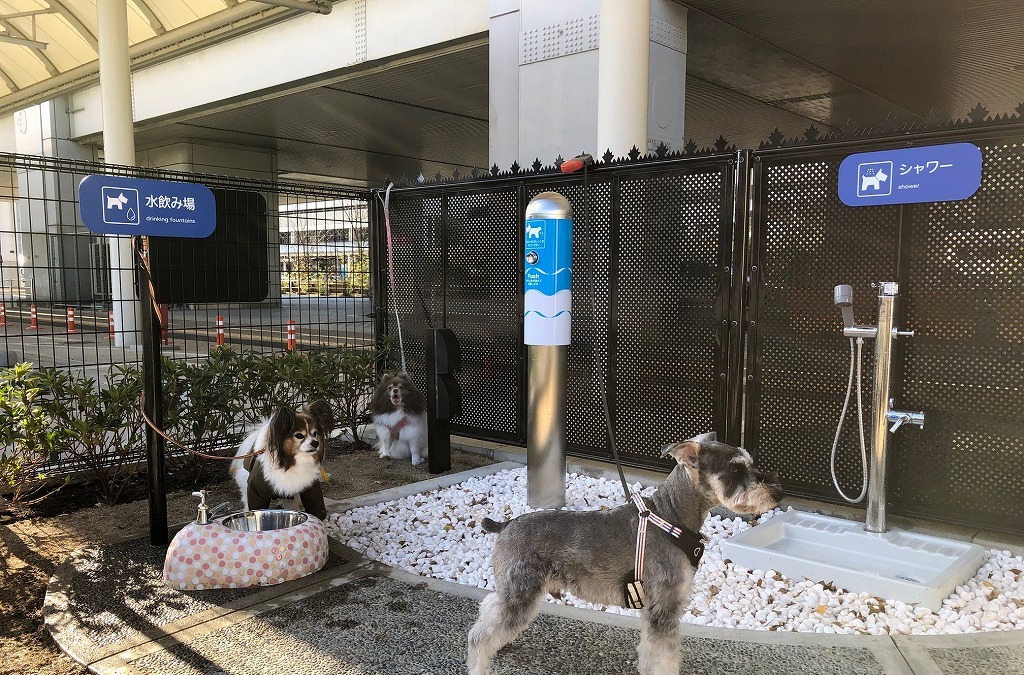 伊丹空港 国内空港初の 愛犬専用トイレ を設置 レスポンス Response Jp 伊丹空港 国内空港初の 愛犬専用トイレ を設置 レスポンス Response Jp