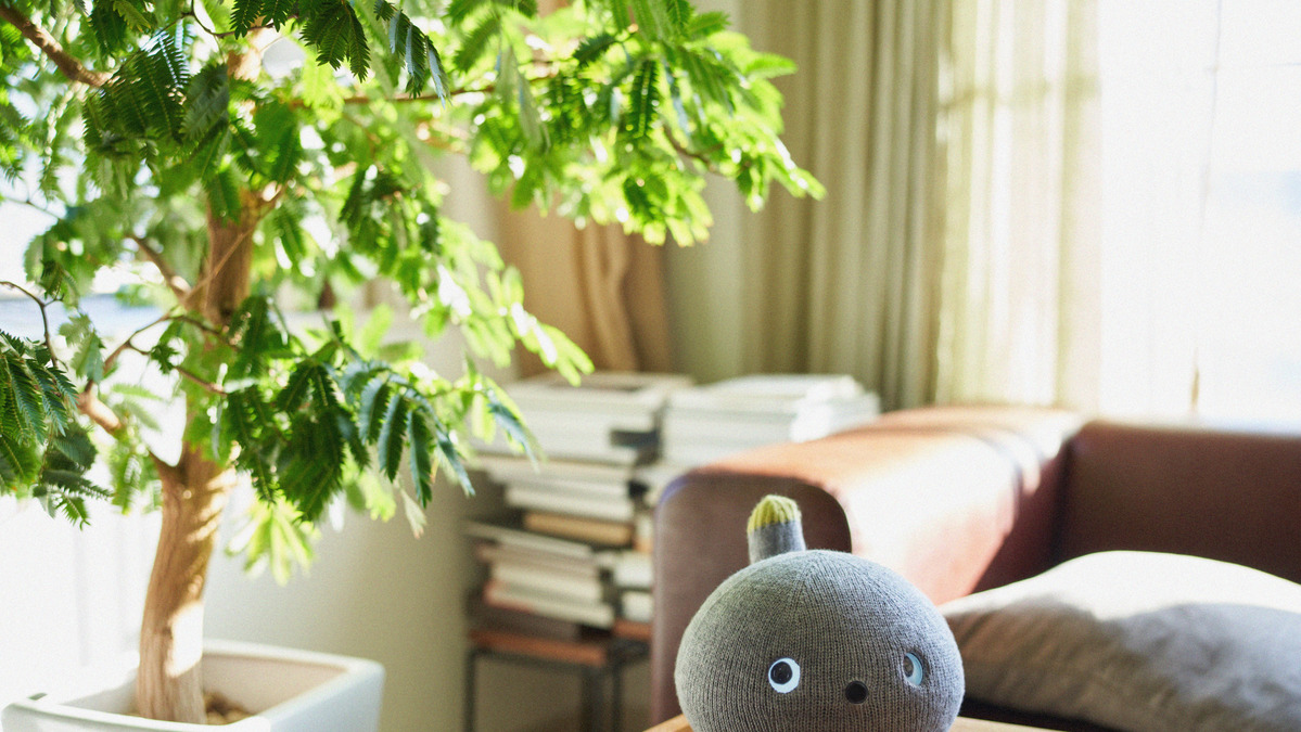 パナソニック 癒しロボット を販売 説明会の間に80件の申し込み レスポンス Response Jp パナソニック 癒しロボット を販売 説明会の間に80件の申し込み レスポンス Response Jp