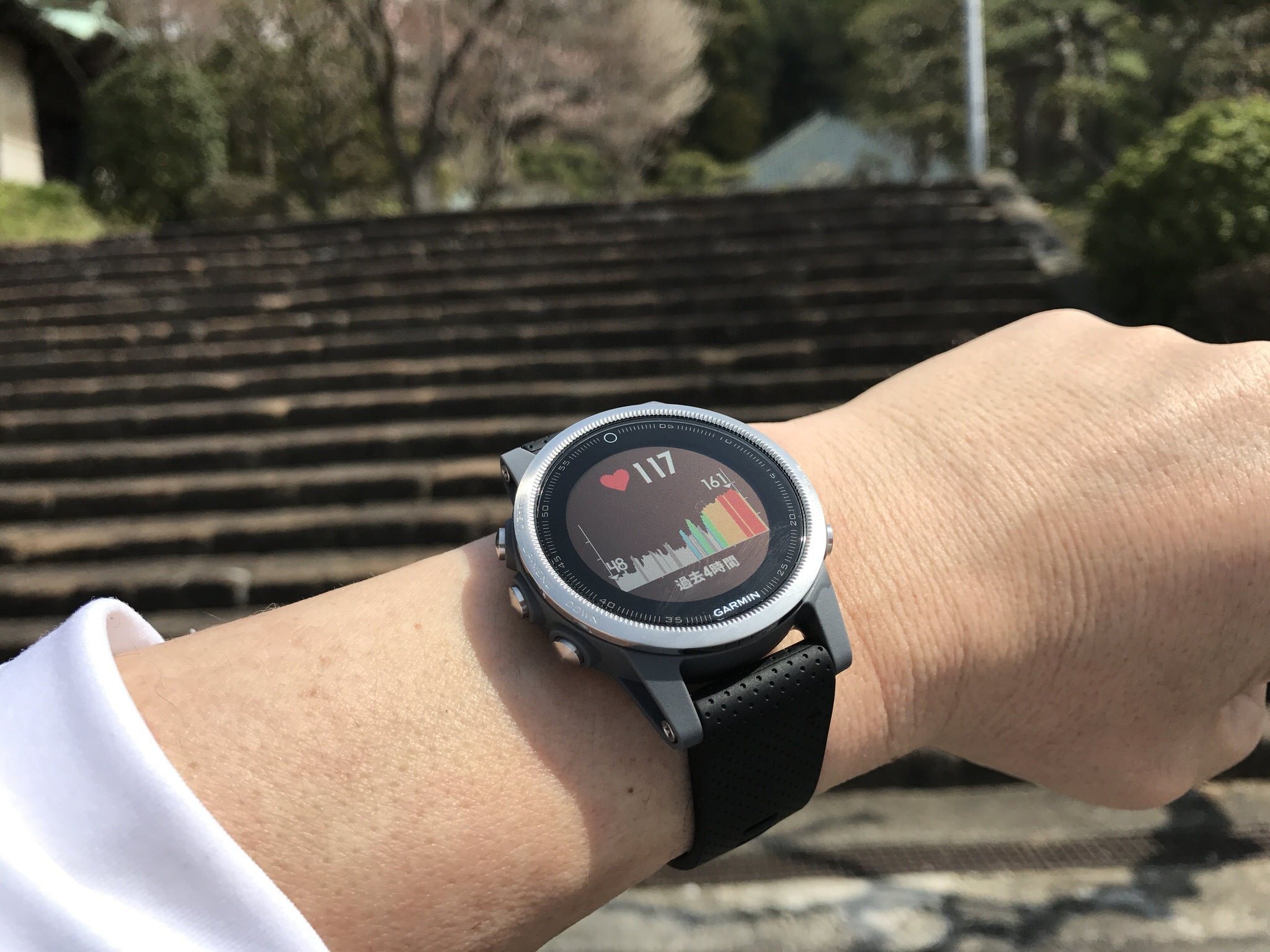 Amazon.com: Garmin fēnix 5s, Premium and Rugged Smaller