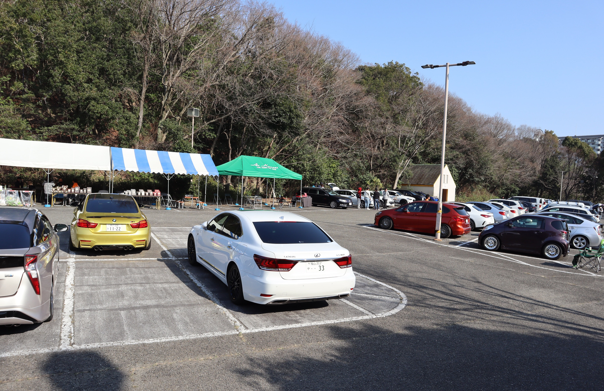 話題のコンペ今年も開催！『まいど大阪 春のプチ車音祭 2025