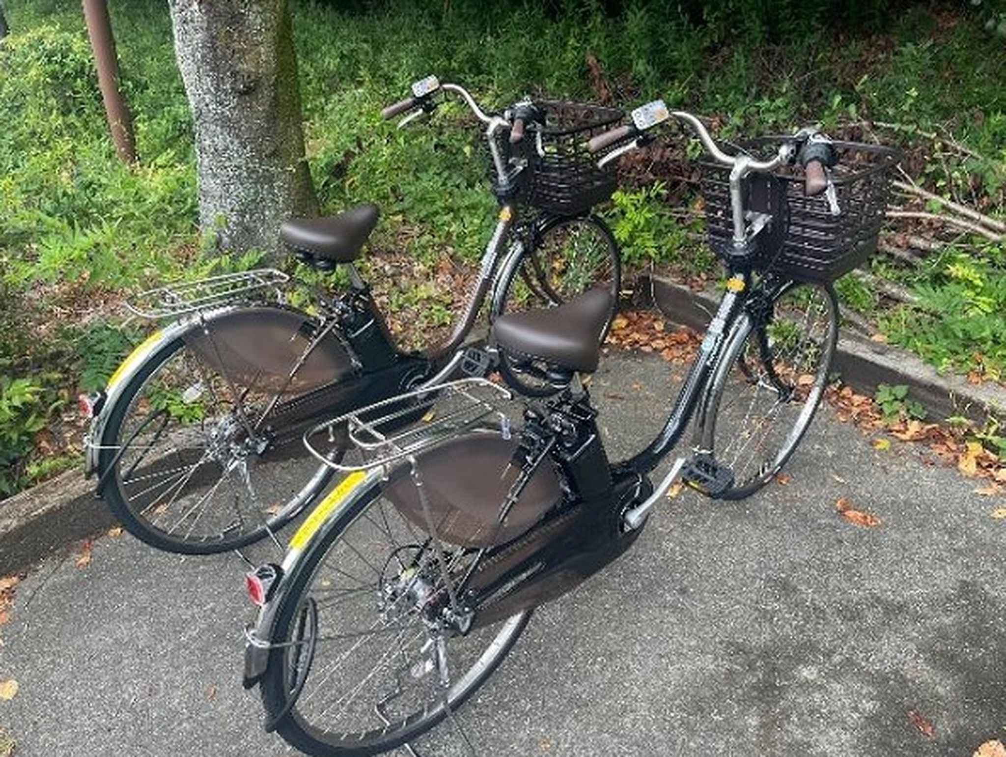 【もりもり様限定】電動アシスト自転車 高尾の森わくわくビレッジ」に電動アシスト自転車の無人レンタル