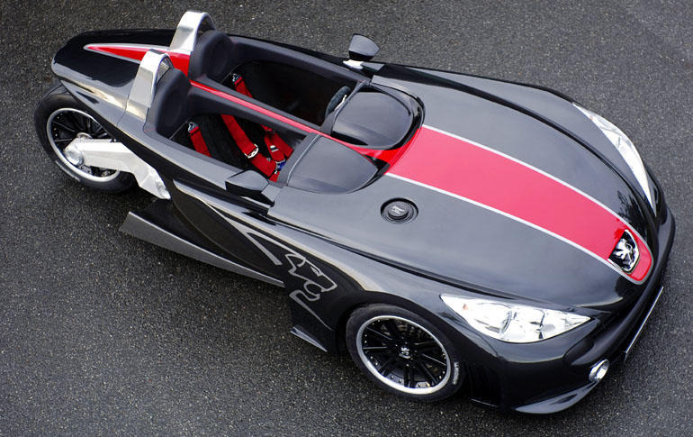 プジョー206WRC　2台セット（ミスターアンダースロー） 66265.jpg?zoom=spacing