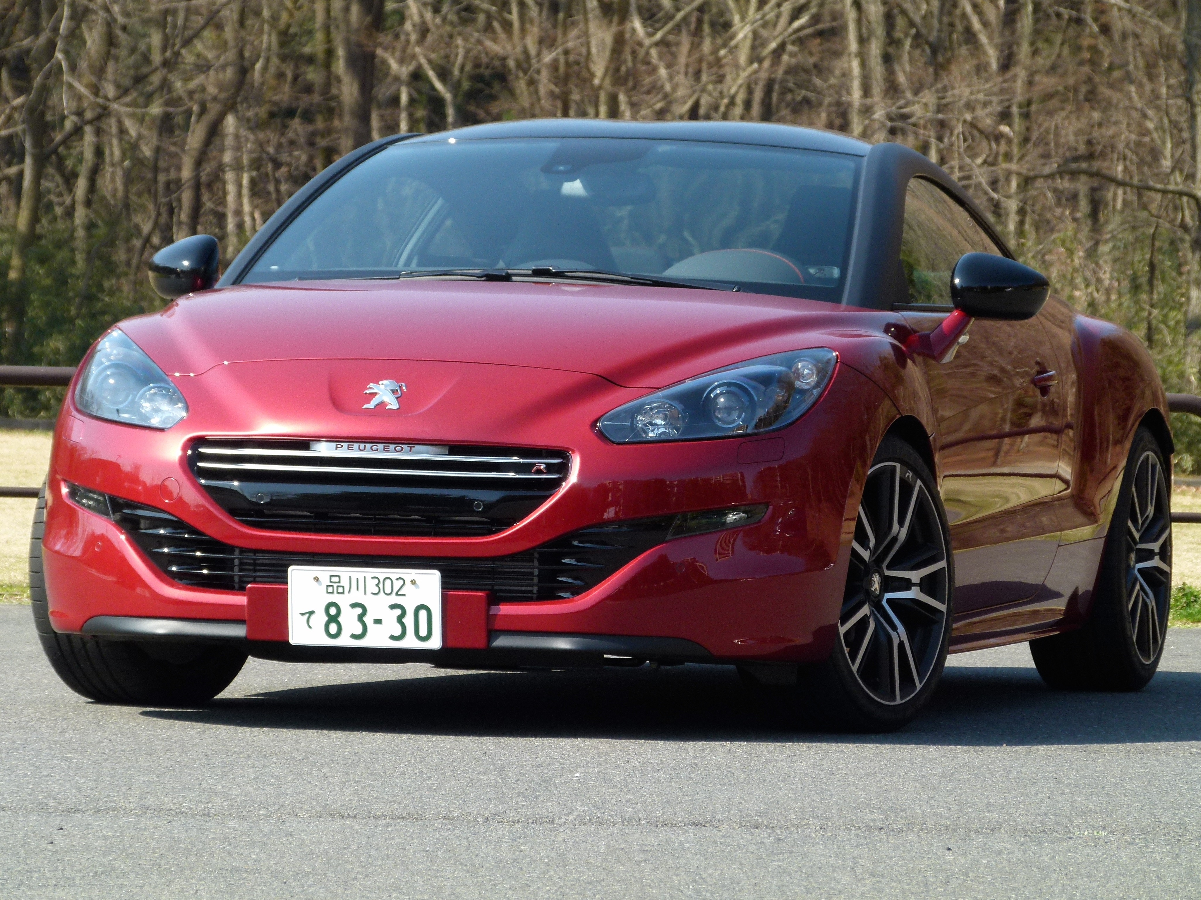 たろう様専用】 プジョー RCZ 1/18 綺麗です！