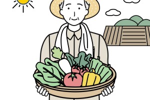 ヤマト運輸、宅急便当日配送サービスと同一都道府県内運賃を導入…11月10日から 画像