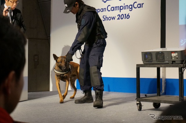 警備犬のクロア君