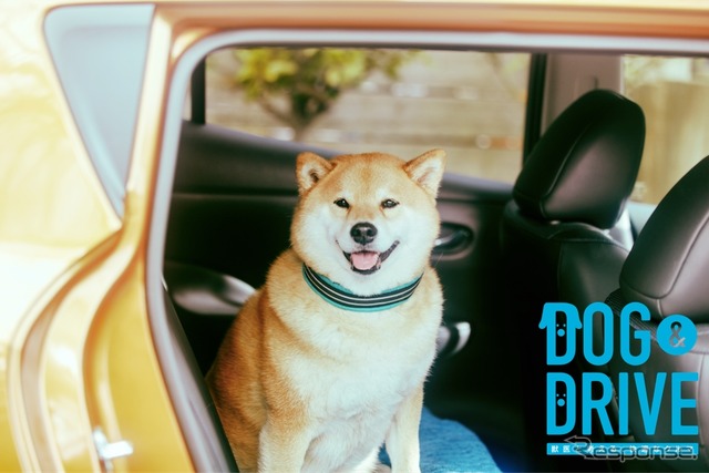 DOG & DRIVE 獣医と考える、快適なクルマ「遠出篇」