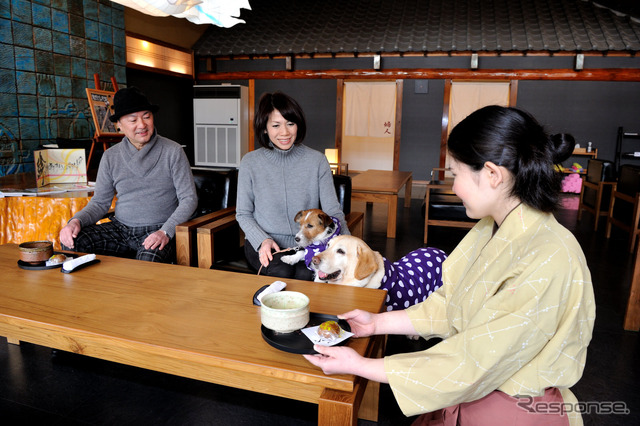 まずはロビーのソファでウェルカムサービスの抹茶と和菓子をいただく。ここでは不粋なチェックイン作業はなし。チェックアウトまでに部屋で宿帳に必要事項を記入すればいい。（鬼怒川 絆）