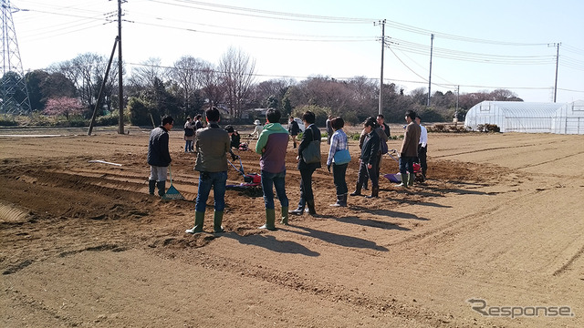 埼玉県宮代町の複合観光農園「新しい村」で3月に行われたホンダ新型耕うん機シリーズ体験会。新しい自走式小型耕うん機「サ・ラ・ダ FF500」や小型耕うん機「こまめ」「プチな」を畑で実際に走らせてみた