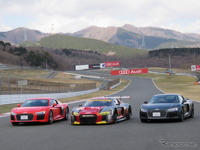 ロードカーのR8を両翼に、中央にはGT300参戦の「#21 Audi R8 LMS」。