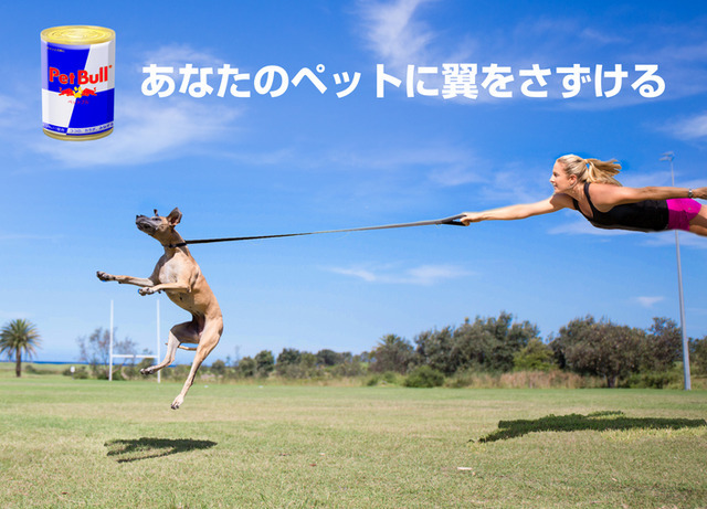 レッドブルからペットに翼をさずける「ペットブル」登場