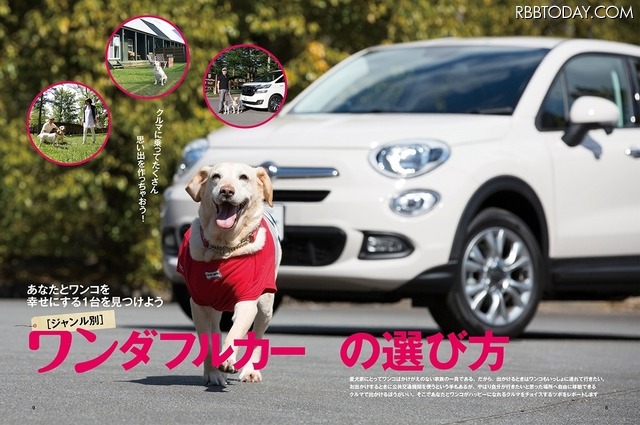 交通タイムス『愛犬と乗るクルマ』