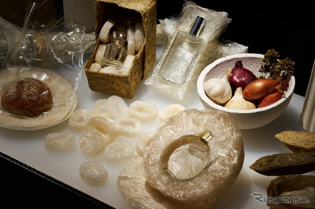AGAR PLASTICITY