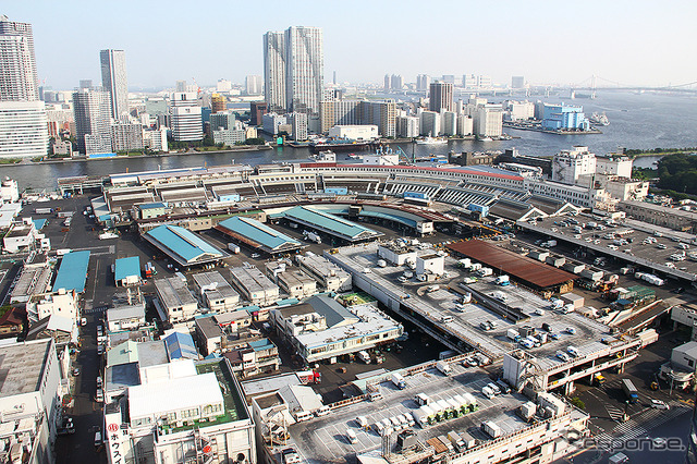 築地市場。引込み線の線路は写真奥のカーブする水産部まで延びていた