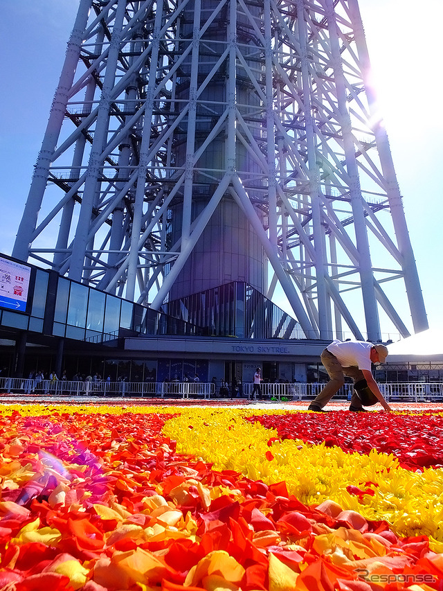 東京スカイツリータウン開業4周年記念「ブリュッセル・フラワーカーペットフェスティバル Supported by アサヒビール」(5月18~22日)
