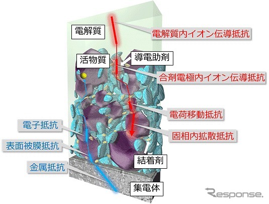 リチウムイオン電池合剤電極の模式図、電子は集電体側。リチウムイオンは電解質側から供給される。