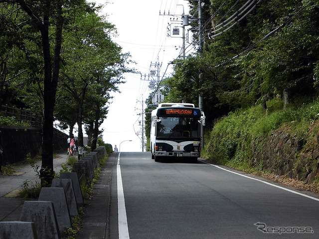 伊勢神宮、内宮と外宮を結ぶ旧街道・古市参宮街道を歩く。江戸時代のにぎわいを感じる猿田彦神社や麻吉旅館へ(AIR & BUS成田発伊勢行きツアー)
