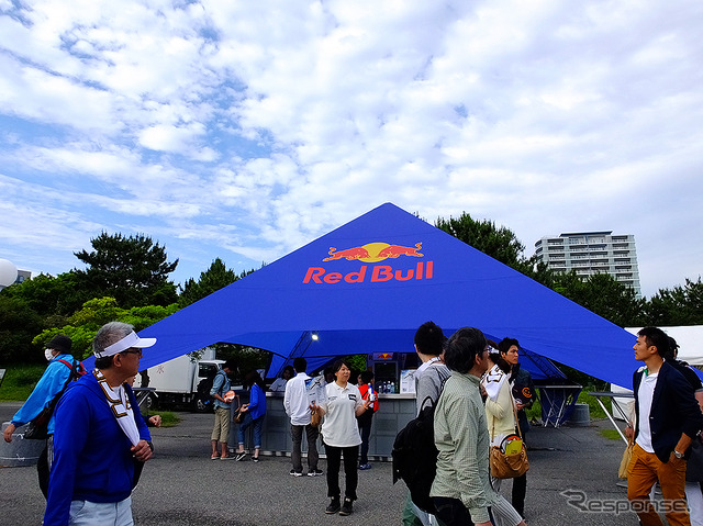 レッドブル・エアレース千葉2016(幕張海浜公園)