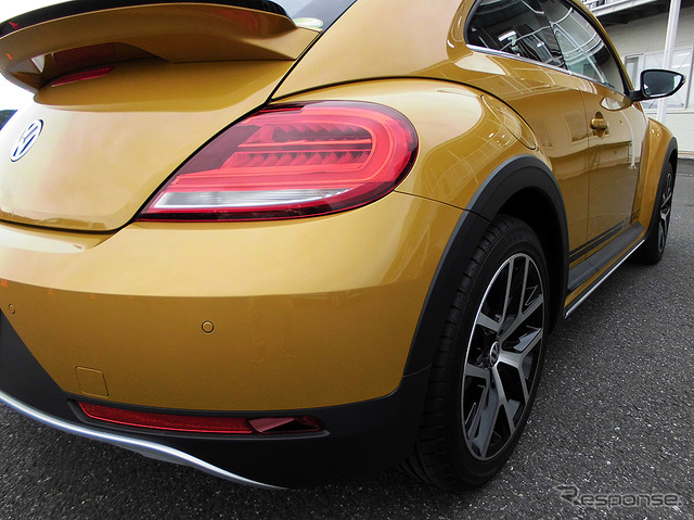 VW ザ・ビートルデューン(千葉・袖ヶ浦フォレストレースウェイ、6月7日)
