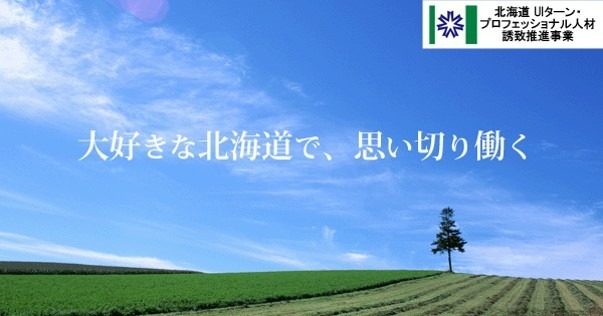 「北海道UIターン・プロフェッショナル人材誘致推進事業」の公式サイトイメージ