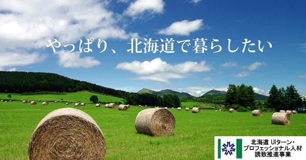 「北海道UIターン・プロフェッショナル人材誘致推進事業」の公式サイトイメージ