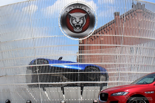 THE JAGUAR WEEK